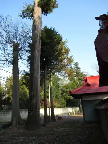 香取神社の自然