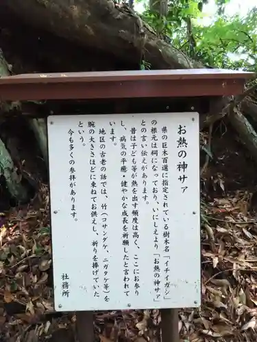 霧島岑神社(宮崎県)