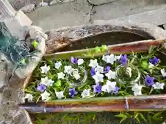 立志神社(滋賀県)