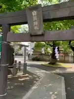 白髭神社(神奈川県)