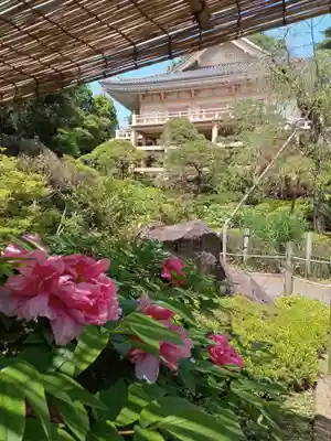 東長谷寺　薬王院(東京都)