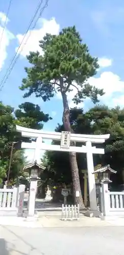 菊田神社の鳥居