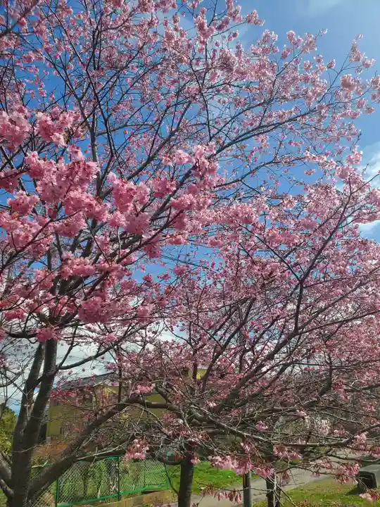 笠間稲荷神社の自然
