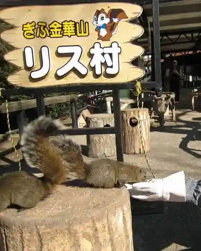 金華山御嶽神社の動物