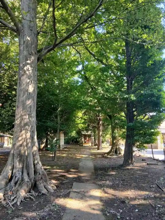 須賀神社(千葉県)