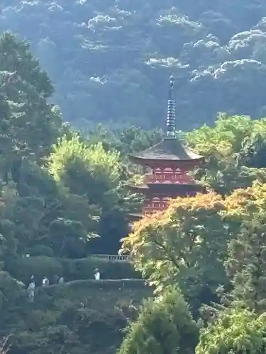 清水寺(京都府)