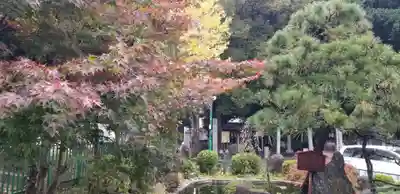 浅間神社(千葉県)