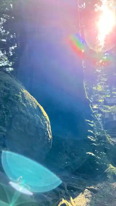 花園神社(茨城県)