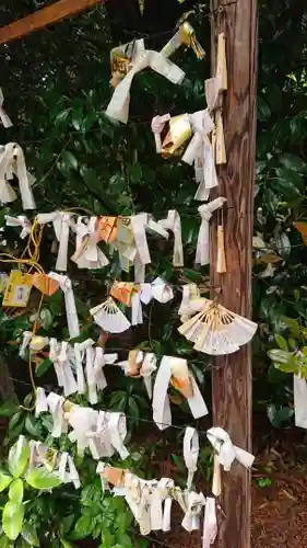 下野 星宮神社のおみくじ