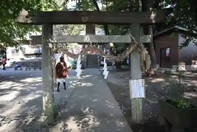 下野 星宮神社の鳥居