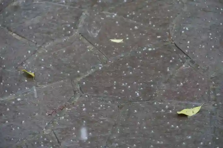 滑川神社 - 仕事と子どもの守り神の自然