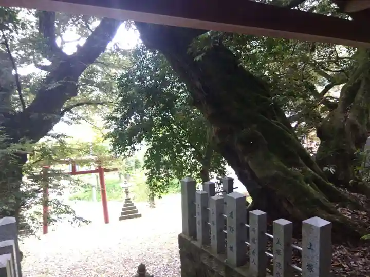 田結神社(福井県)