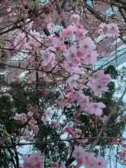 花園神社の自然