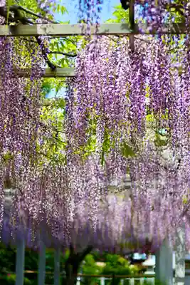 三大神社(滋賀県)