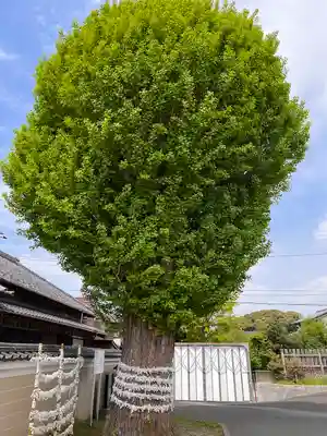 子守神社(千葉県)