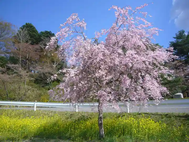 曹洞宗 永松山 龍泉寺の自然