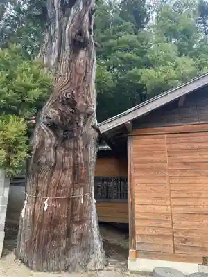 勝山八幡神社(山梨県)