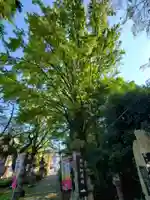 神炊館神社 ⁂奥州須賀川総鎮守⁂(福島県)