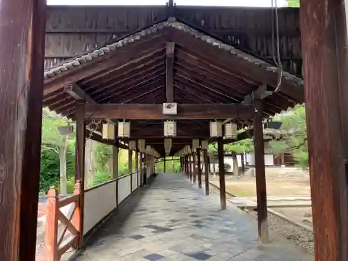 萬福寺(京都府)
