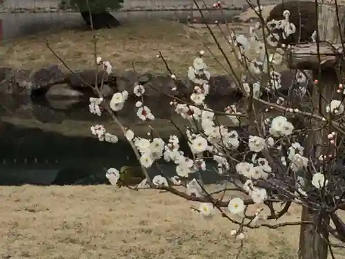 宇佐神宮(大分県)