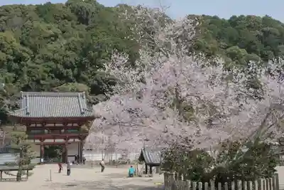 金剛寺のその他建物