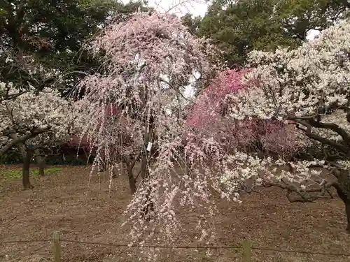 道明寺天満宮の庭園