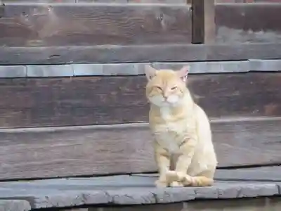 智恩寺(京都府)