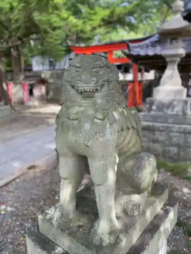 玉前神社の狛犬