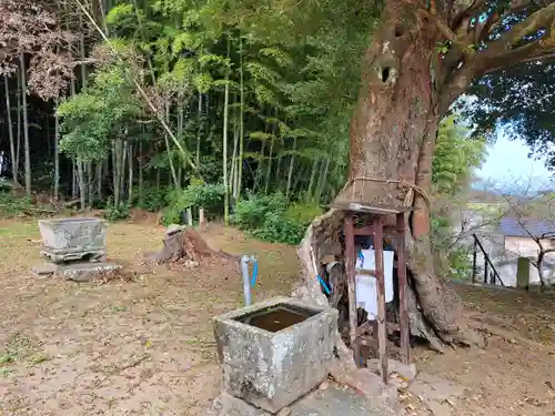 黒雄社の手水舎