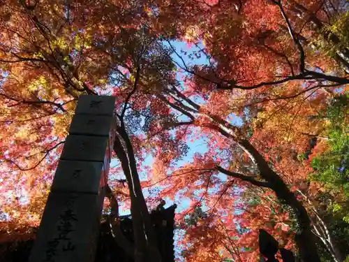 高尾山薬王院の自然