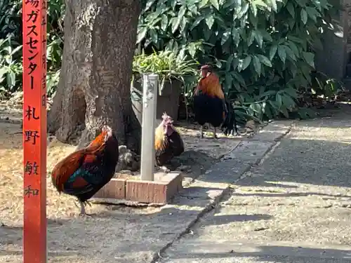 助松神社(大阪府)