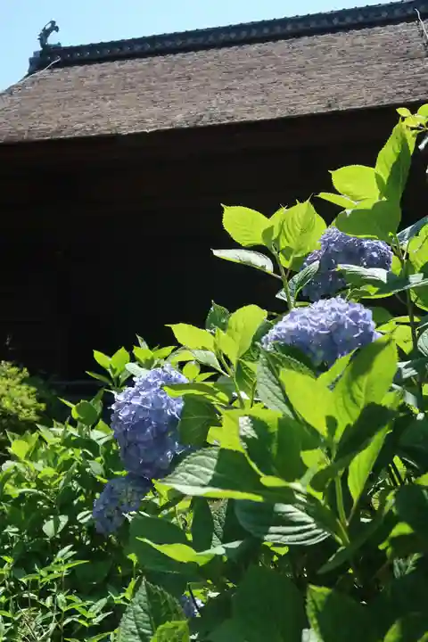性海寺(愛知県)