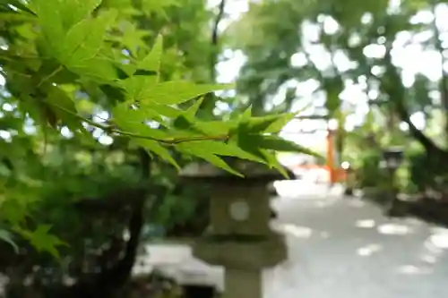 大田神社（賀茂別雷神社境外摂社）の景色