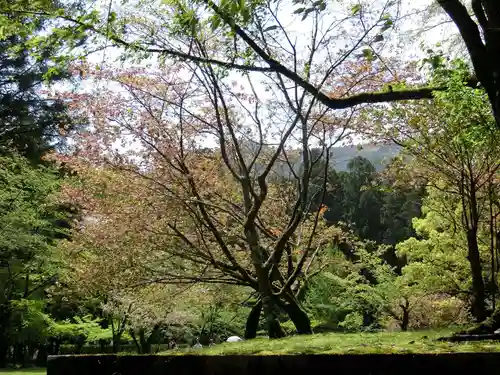 大斎原（熊野本宮大社旧社地）の自然