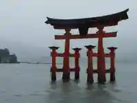 厳島神社の鳥居