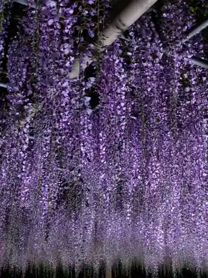 津島神社の周辺