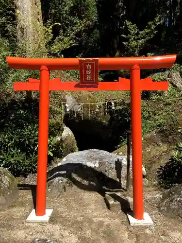 脊振神社の鳥居