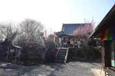 真福寺(奈良県)