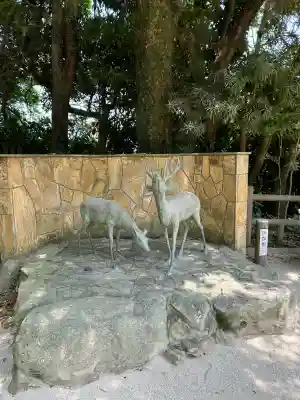志賀海神社(福岡県)