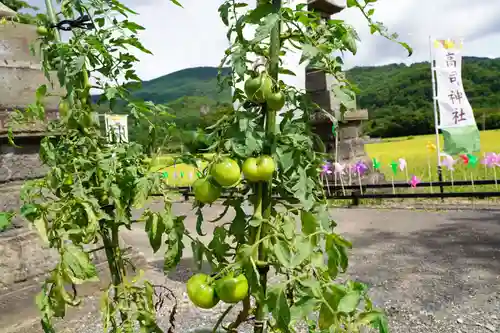 高司神社〜むすびの神の鎮まる社〜の周辺