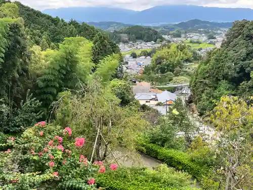 岡寺（龍蓋寺）(奈良県)