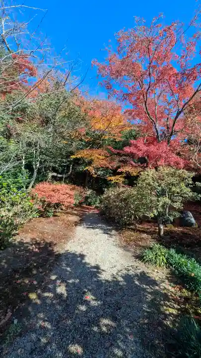 法金剛院(京都府)
