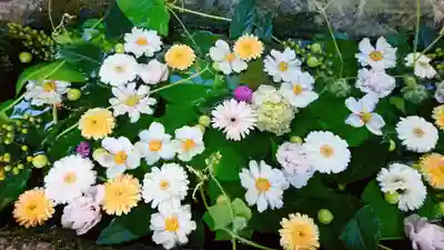 柳津虚空蔵尊 寳性院(宮城県)