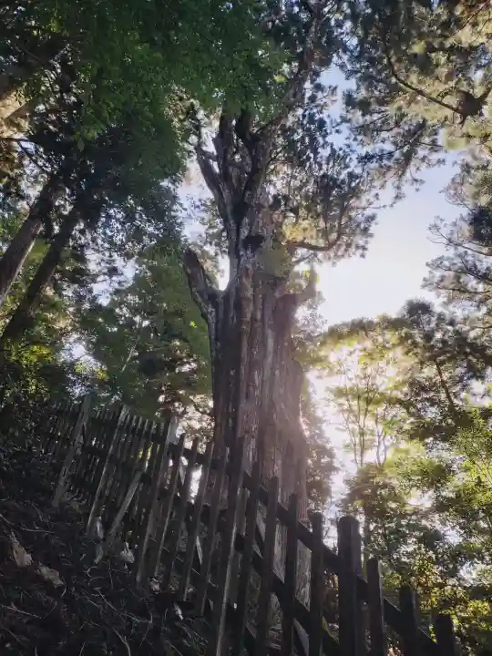 玉置神社の{uncategorized: "未分類", other: "その他", undefined: "問題あり", building: "その他建物", grave: "お墓", sacred_gate: "鳥居", guardian: "狛犬", statue: "像", buddha: "仏像", history: "歴史", nature: "自然", garden: "庭園", animal: "動物", pagoda: "塔", temizu: "手水舎", mountain_gate: "山門・神門", sanctuary: "本殿・本堂", subordinate: "末社・摂社", art: "芸術", scenery: "景色", jizo: "地蔵", ema: "絵馬", goshuin: "御朱印", omikuji: "おみくじ", items: "授与品その他", amulet: "お守り", goshuincho: "御朱印帳", eats: "食事", festival: "お祭り", votive_dance: "神楽", shichigosan: "七五三参", wedding: "結婚式", experience: "体験その他", initially: "初詣", around: "周辺", anti_infection: "感染症対策"}
