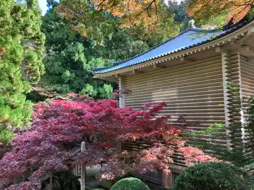 最乗寺（道了尊）(神奈川県)