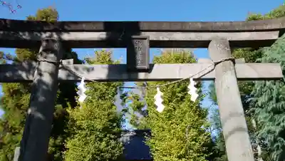 諏訪神社の鳥居