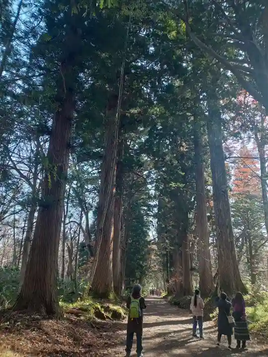 戸隠神社奥社(長野県)