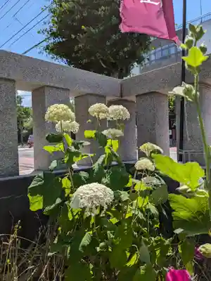 発寒神社(北海道)