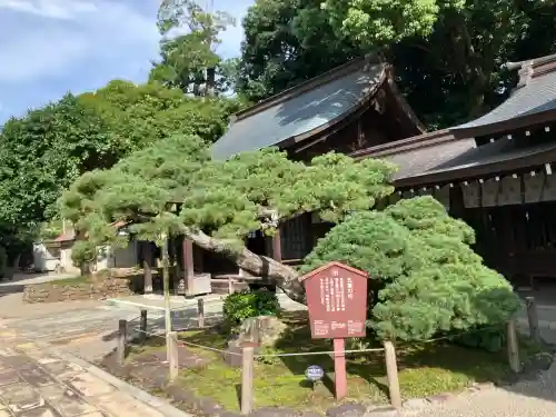 出水神社(熊本県)