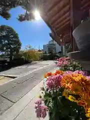 松本山　地福禅寺(滋賀県)